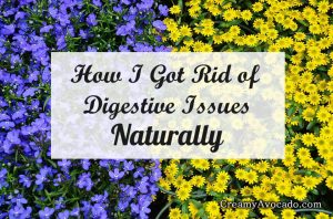 get-rid-of-digestistive-issues