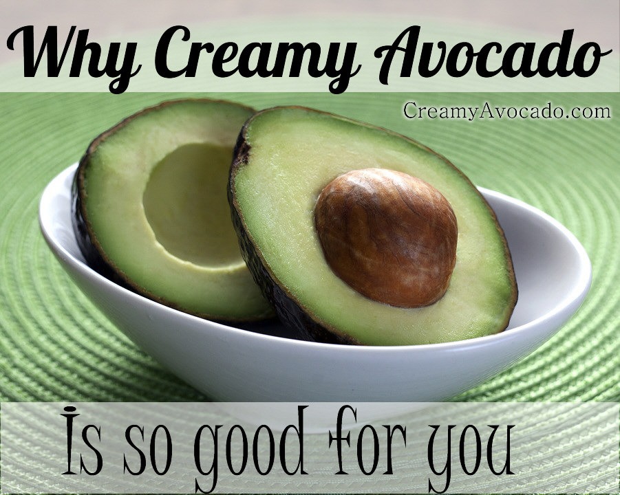 Why Creamy Avocado Is So Good For you - Creamy Avocado