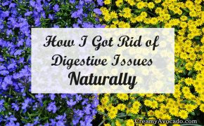 get-rid-of-digestistive-issues